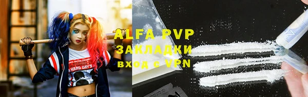 прущие грибы Армянск
