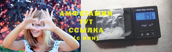 прущие грибы Армянск
