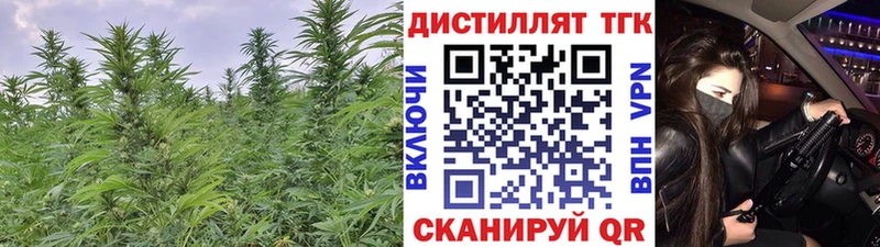 ТГК Wax  цена   Тейково 